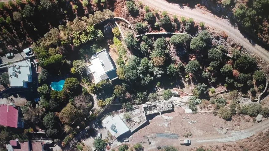 Şarkıcı Suavi'nin arsasında kesilen ağaçlarla ilgili inceleme başlatıldı 6