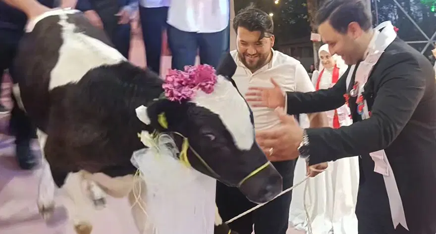Ne para ne altın. Hayvancılıkla uğraşan damada düğünde sürpriz hediye 