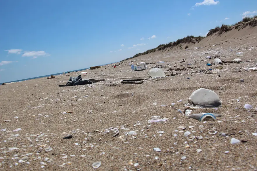 Kaderine terk edildi: 2 kilometrelik kumsal çöple kaplandı 2