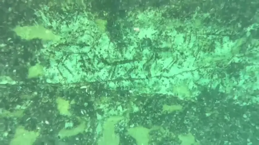 Adıyaman'da 12 bin yıllık kaya resimleri su altında bulundu 