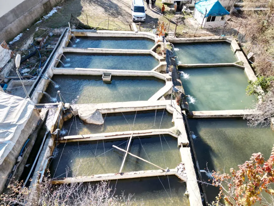 Sıfır noktasında 25 bin ton üretiyor: 5 aileye ekmek kapısı oluyor 2