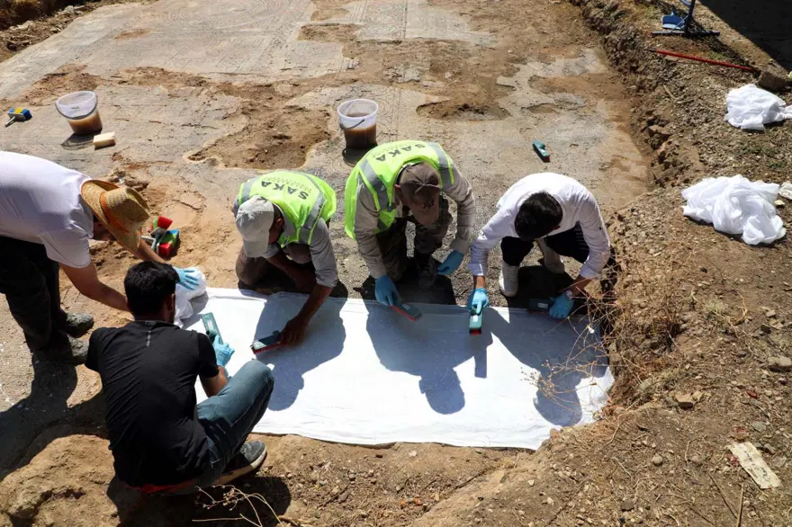 Kaçak kazıda bulunan mozaikler Zeugma Müzesi'ne taşınıyor 11 Kaçak kazıda bulunan mozaikler Zeugma Müzesi'ne taşınıyor 11
