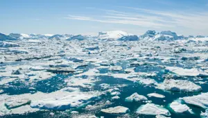 Grönland Buz Levhası'nda dev virüsler keşfedildi: Buzul erimelerini önleyebilir Grönland Buz Levhası'nda dev virüsler keşfedildi: Buzul erimelerini önleyebilir