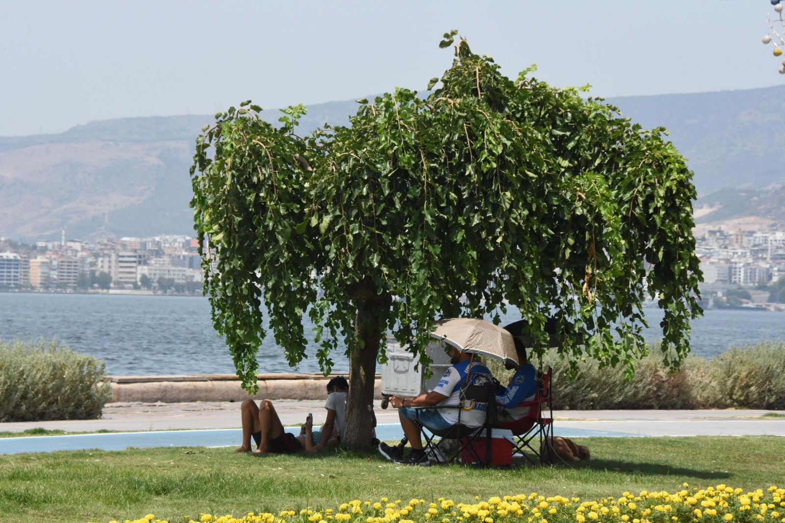 Meteoroloji: Ege Bölgesi'nde sıcaklık artacak