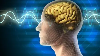 Beynin çalışması yeniden yorumlandı