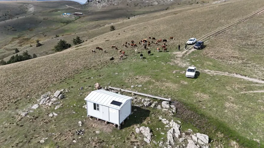 2 bin 200 rakımda bulunan yaylaya çıkıyorlar: "Buralar bizlerin gelir kaynağı" 4