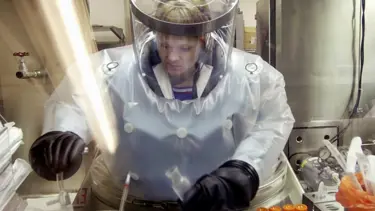 ABD'deki şarbon krizi İngiltere'ye de sıçradı