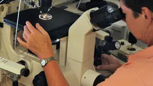 Isıya duyarlı yapay deri geliştirildi Isıya duyarlı yapay deri geliştirildi