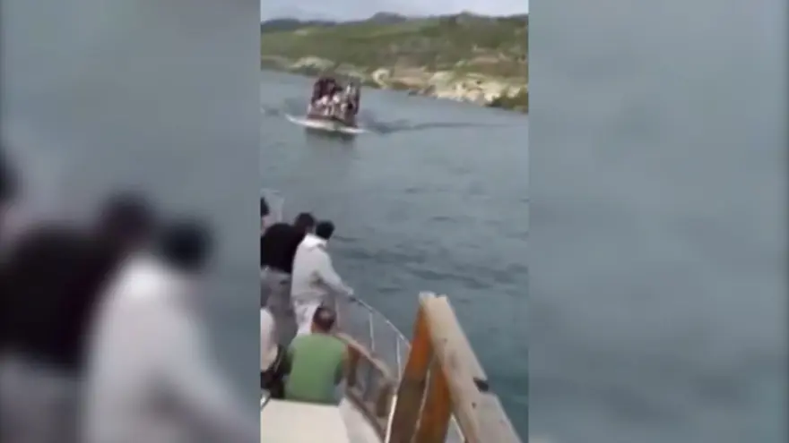 Halfeti’de turtekneleri çarpıştı 1