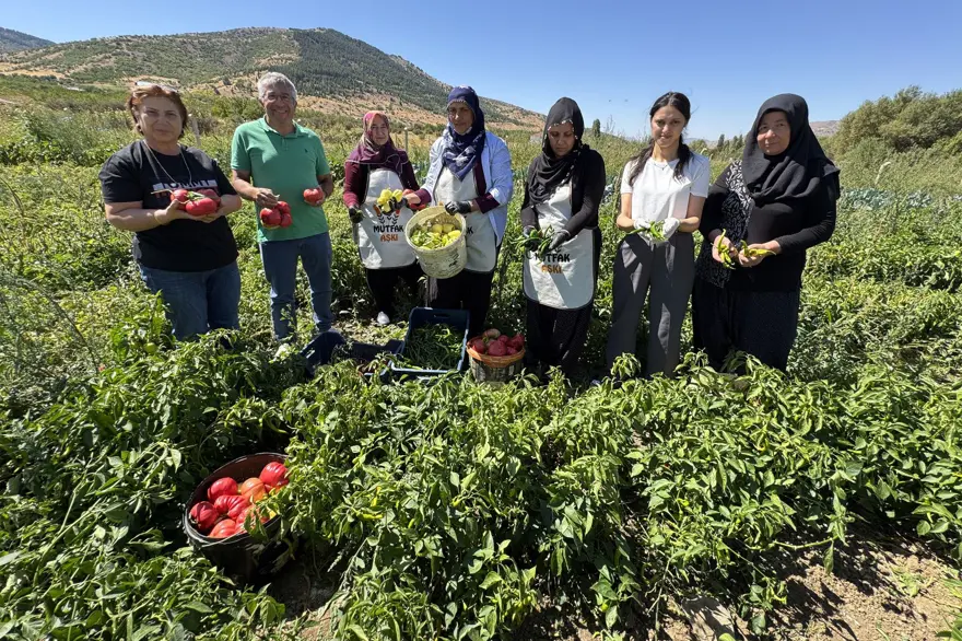 Devlet desteğiyle yetiştiriyorlar: Sebzeleri dönüştürerek gelir elde ediliyor 2 Devlet desteğiyle yetiştiriyorlar: Sebzeleri dönüştürerek gelir elde ediliyor 2