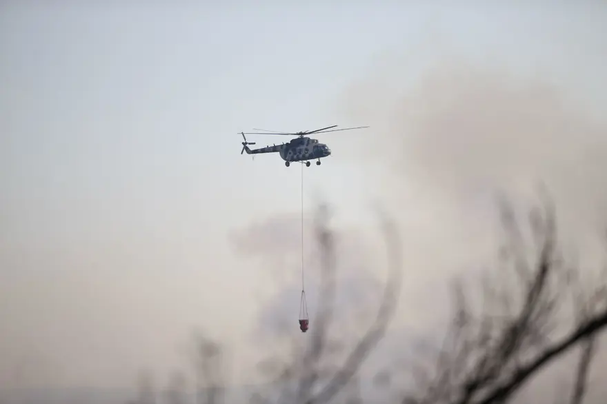 Cumhurbaşkanı Erdoğan: Marmaris'teki orman yangını büyük oranda kontrol altında 53