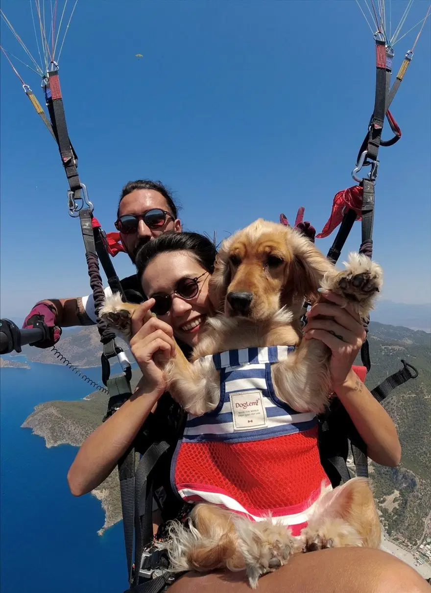 Ölüdeniz'in eşsiz manzarasında köpeği 'Yager' ile yamaç paraşütü yaptı 3