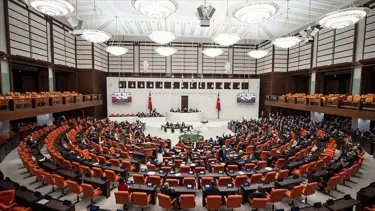 TBMM'de kabul edildi: Kadına ve sağlıkçılara şiddet katalog suçlara girecek