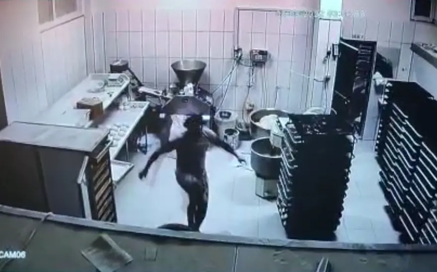 Üvey baba dehşetine 4 yıl hapis cezası 6