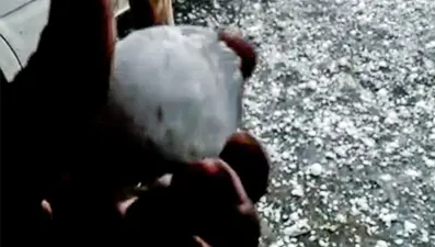 Ceviz büyüklüğündeki doluya battaniyeler de çare olmadı