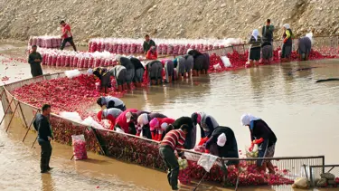 Osmaniye'de 50 kuruş, İstanbul'da 3 lira