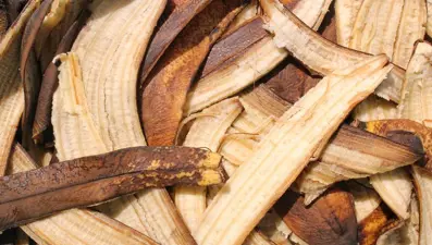 Muz kabuğunun cilt sağlığına etkisi: Viral yöntem gerçekten işe yarıyor mu?