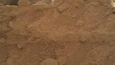 NASA fotoğrafladı: Kızıl Gezegen'de yetişen gizemli mantar