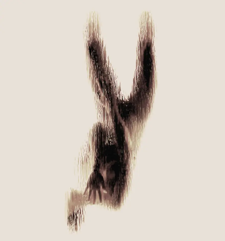 Y 24