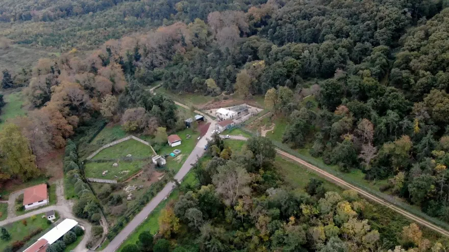 Türkiye'nin tek ayı barınağı Ovakorusu'nun maskotu oldular 45