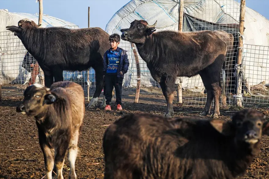 Mezopotamya'nın saklı güzelliği: Bataklıklar 27