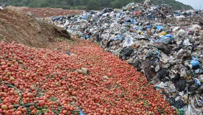 Antalya'da kilolarca sebze çöpe döküldü: Bakanlık inceleme başlattı