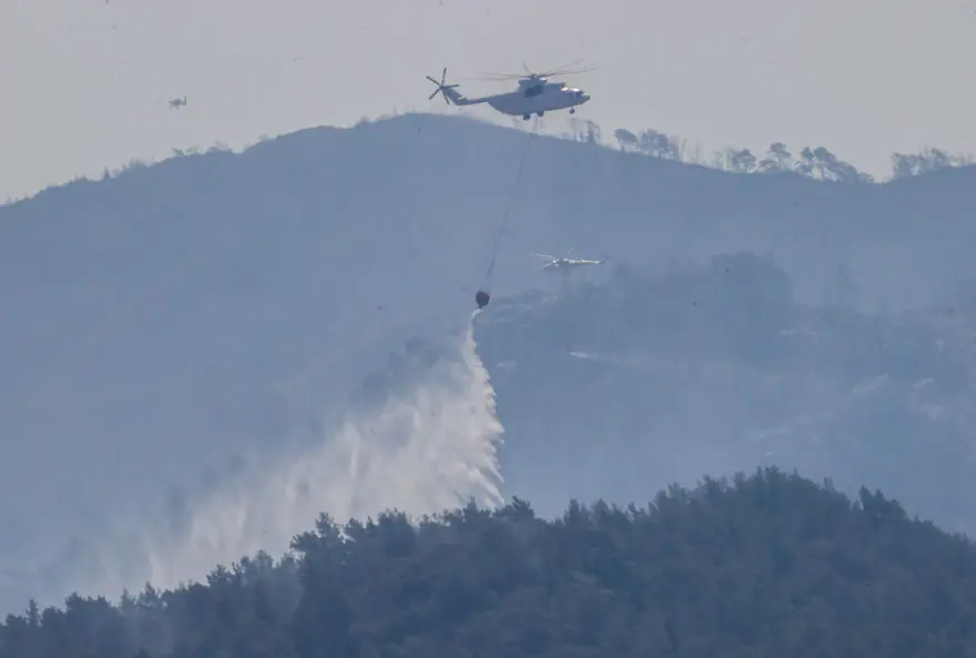 Cumhurbaşkanı Erdoğan: Marmaris'teki orman yangını büyük oranda kontrol altında 41