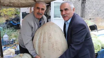 Tarlada 2 kişi zor taşıdı: İlk kez böylesi görüldü, tam 51 kilo!