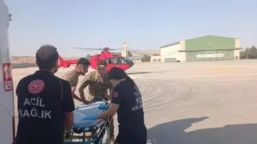 Siirt'te akrebin soktuğu çoban hastanelik oldu