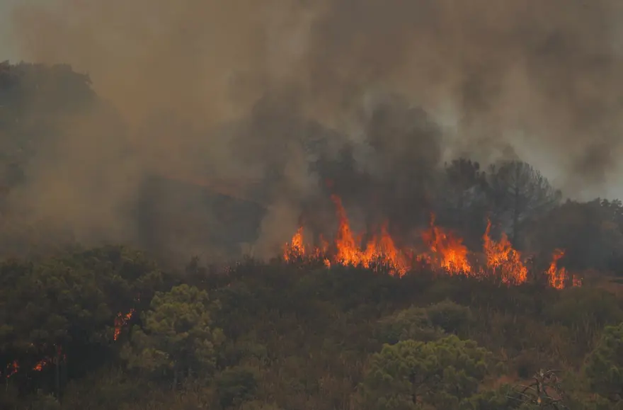 İspanya’da orman yangını: 2 bin 600  kişi yerinden edildi 2