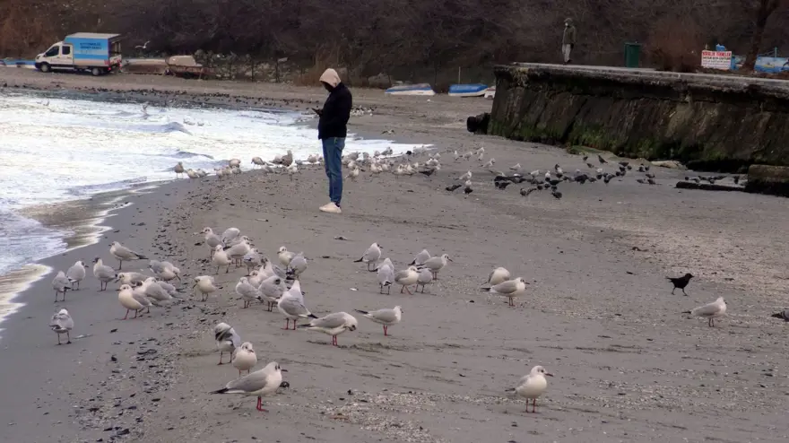 Avcılar'da deniz 15 metre çekildi: Deniz çekilmesi nedir, neden olur? (Kandilli Rasathanesi'nden açıklama) 3