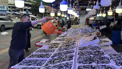 Bu sezon tezgahta bol: En fazla ilgi gören balık