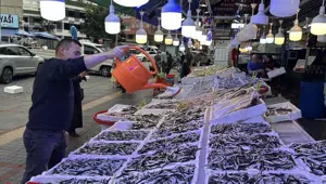 Bu sezon tezgahta bol: En fazla ilgi gören balık