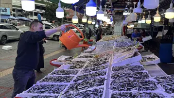 Bu sezon tezgahta bol: En fazla ilgi gören balık