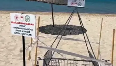 Sahildeki caretta caretta yuvası koruma altında
