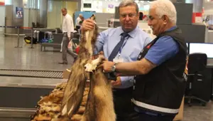 Bazı kürk çeşitlerinde ÖTV sıfırlandı