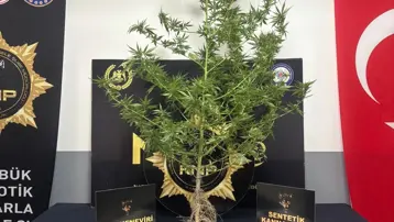 Karabük'te uyuşturucu operasyonu: 1 tutuklama