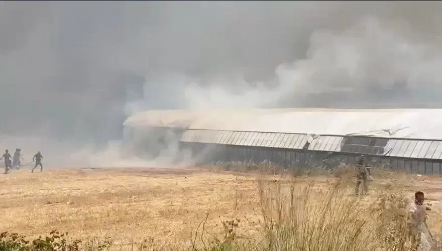 Antalya'da yerleşim yerine yakın ağaçlık alanda yangın 4 Antalya'da yerleşim yerine yakın ağaçlık alanda yangın 4