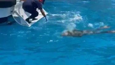 Zıpkınla balık avlamak için daldı, cesedi bulundu