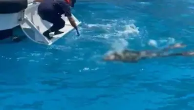 Zıpkınla balık avlamak için daldı, cesedi bulundu