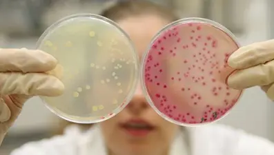 Mikrobiyota araştırmalarına destek için vakıf kuruldu