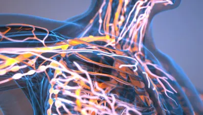 24 saat boyunca aç kalırsak ne olur? Vücuda etkileri inanılmaz