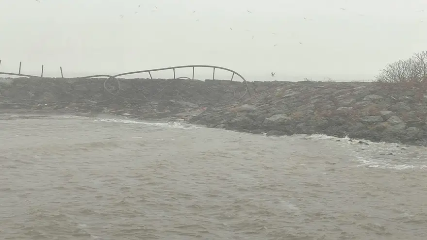 Giresun'da fırtına balık kafeslerini kıyıya sürükledi 2 Giresun'da fırtına balık kafeslerini kıyıya sürükledi 2