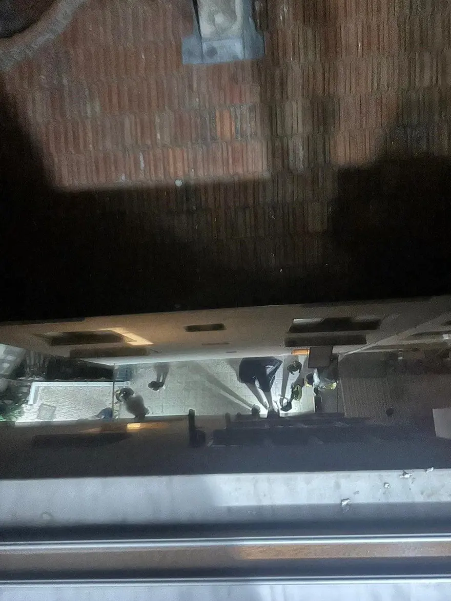 NE OLMUŞTU? 5 NE OLMUŞTU? 5