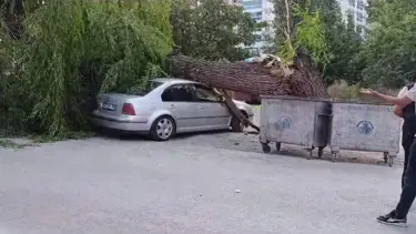 Ankara'da kuvvetli rüzgar; ağaç devrildi, 4 araç hasar gördü