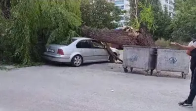 Ankara'da kuvvetli rüzgar; ağaç devrildi, 4 araç hasar gördü