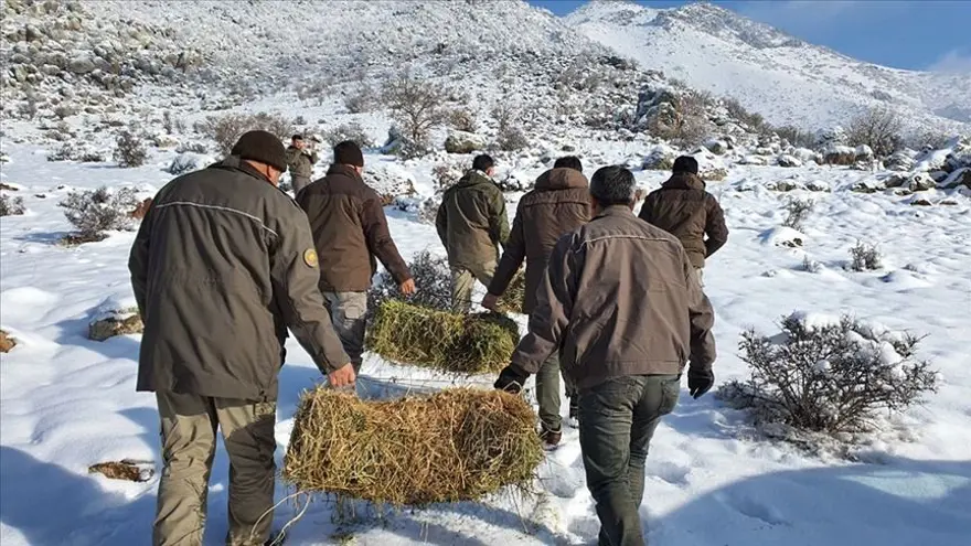 ALIMI YAPILACAK KADROLAR BELLİ OLDU 1