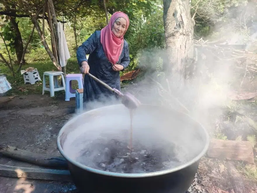 Halk arasında "kokulu üzüm" olarak biliniyor: Kazanlarda kaynatılıp şifa niyetine tüketiliyor Halk arasında "kokulu üzüm" olarak biliniyor: Kazanlarda kaynatılıp şifa niyetine tüketiliyor