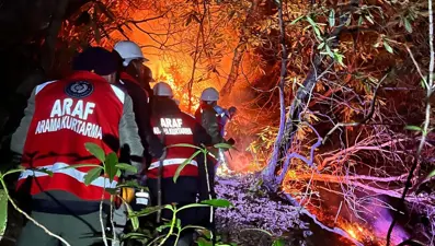 Anız yangını ormana sıçradı