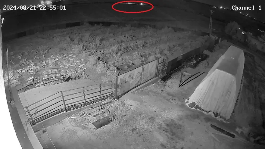 Narin Güran cinayetiyle ilgili yeni görüntü: Cesedin yakınında 8 dakika kalmış 8